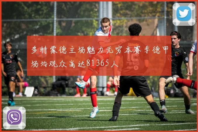 多特蒙德主场魅力无穷本赛季德甲场均观众高达81365人