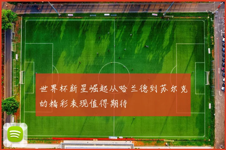 世界杯新星崛起从哈兰德到苏尔克的精彩表现值得期待
