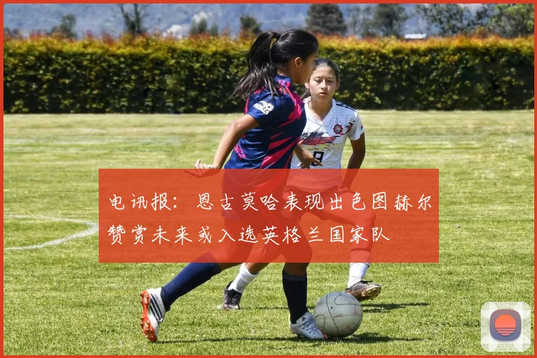 电讯报：恩古莫哈表现出色图赫尔赞赏未来或入选英格兰国家队